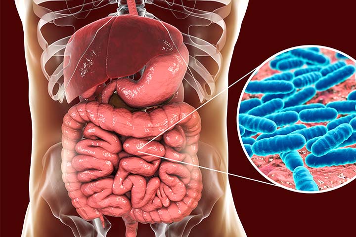 7 Toxins That Can Weaken Your Immunity